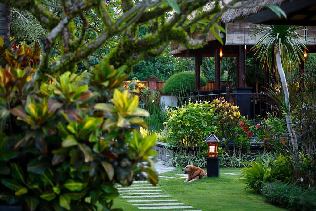 Villa L'Orange Bali Keramas Kamer foto